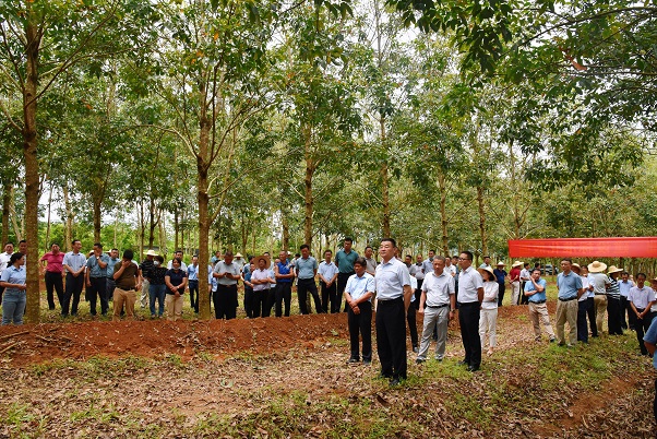 新澳门六合彩官网