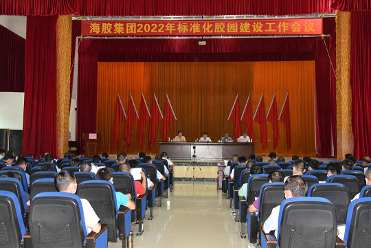 新澳门六合彩官网