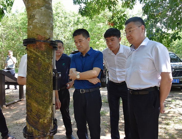 新澳门六合彩官网