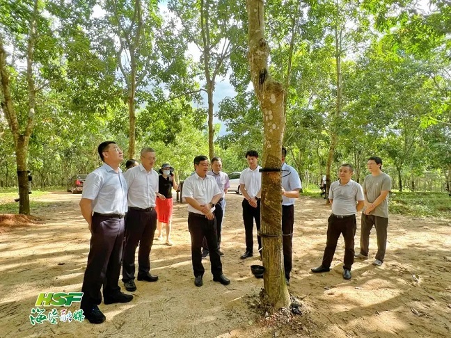 新澳门六合彩官网