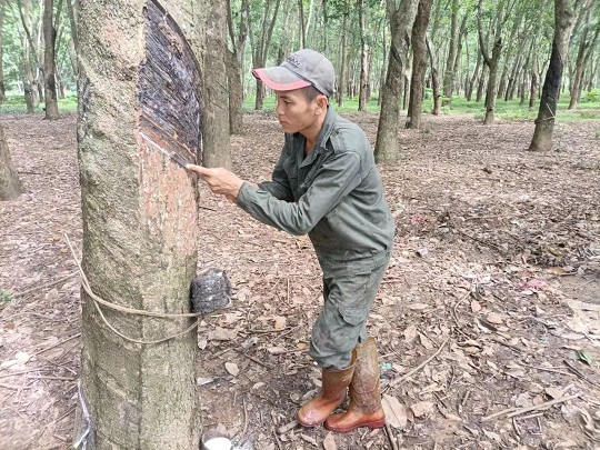 新澳门六合彩官网