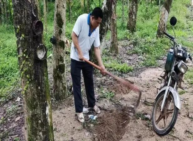 新澳门六合彩官网