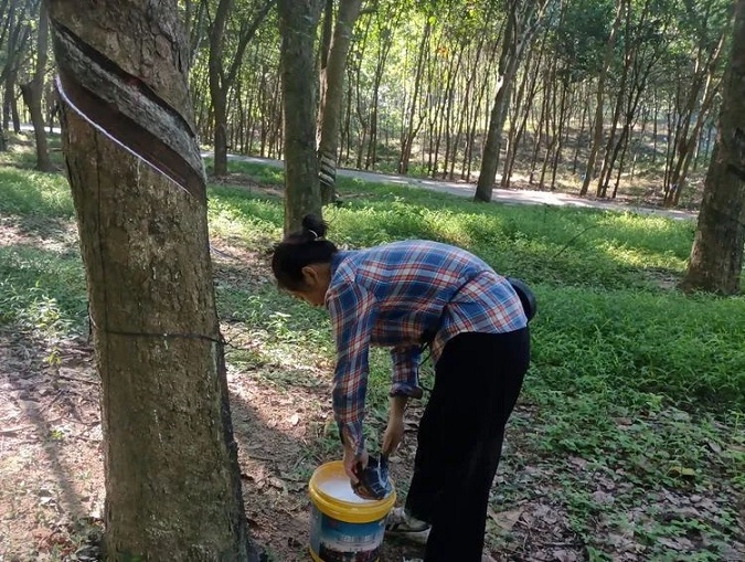 新澳门六合彩官网