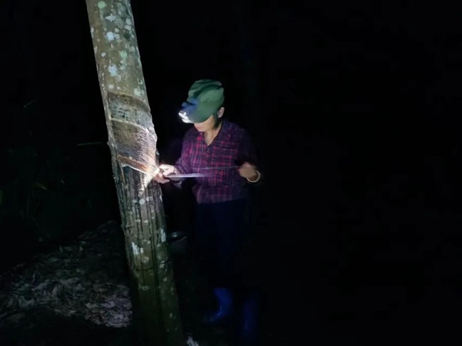 新澳门六合彩官网