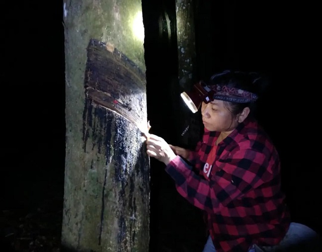 新澳门六合彩官网