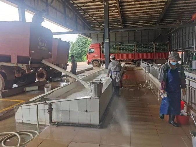 新澳门六合彩官网