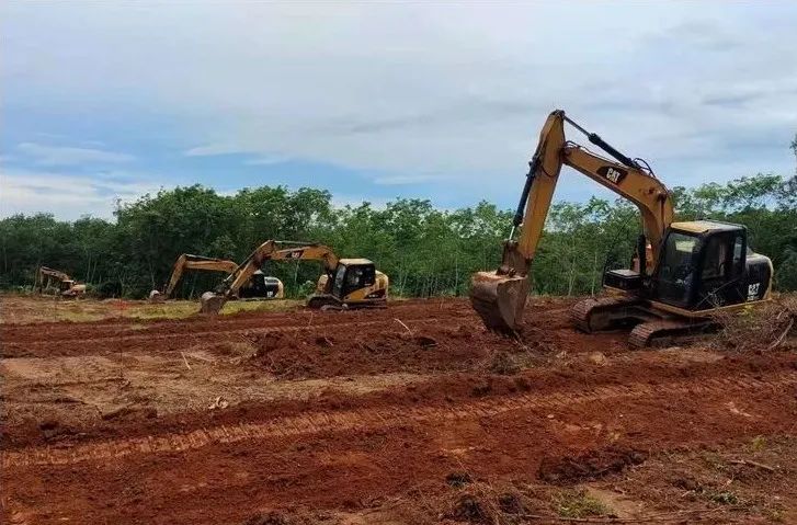 新澳门六合彩官网