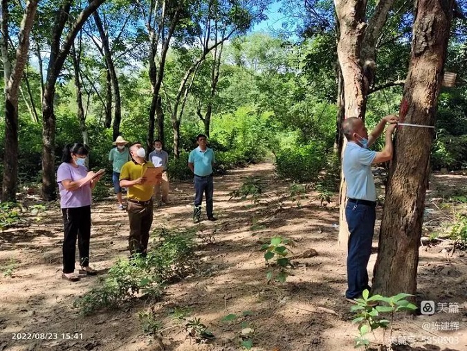 新澳门六合彩官网
