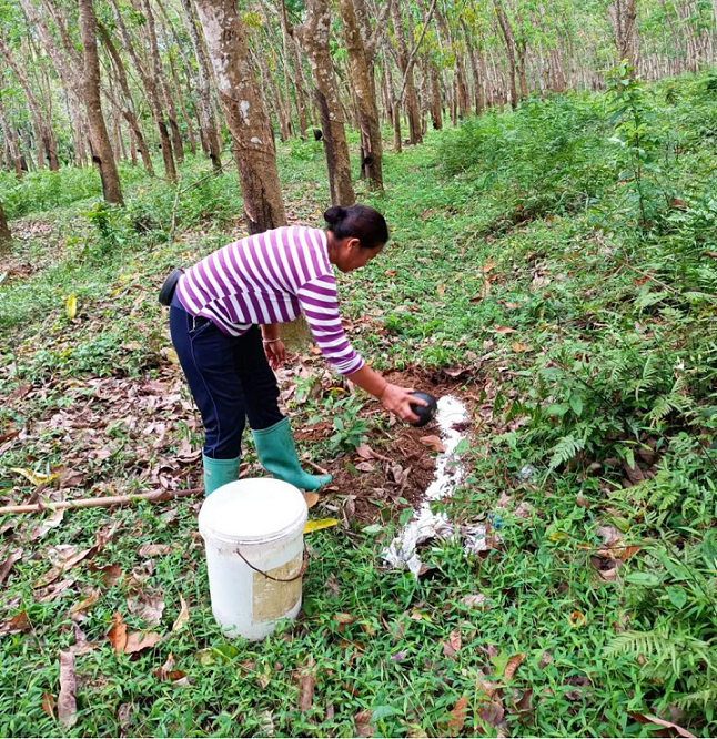 新澳门六合彩官网