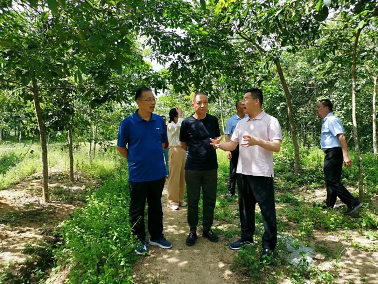 新澳门六合彩官网