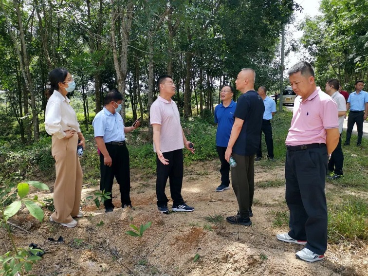 新澳门六合彩官网