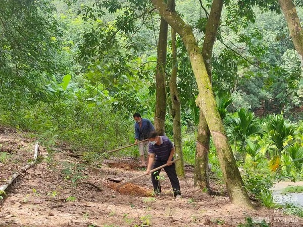 新澳门六合彩官网