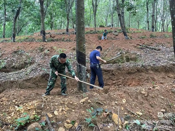 新澳门六合彩官网