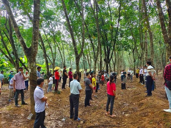 新澳门六合彩官网