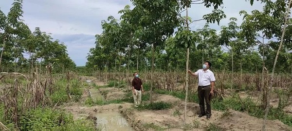 新澳门六合彩官网