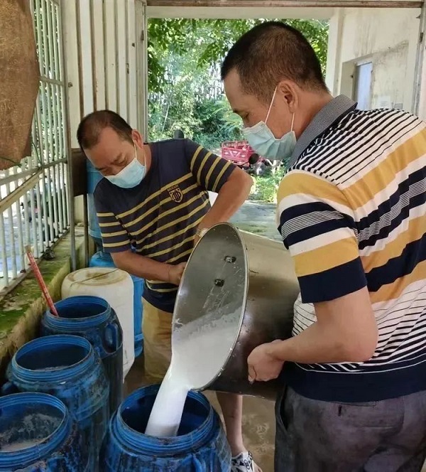 新澳门六合彩官网