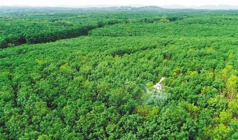 新澳门六合彩官网