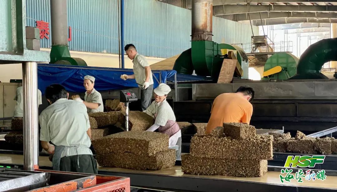 新澳门六合彩官网