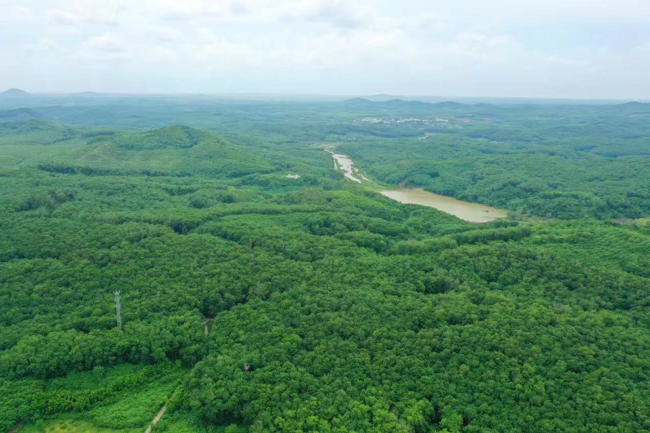 新澳门六合彩官网