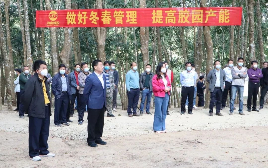 新澳门六合彩官网