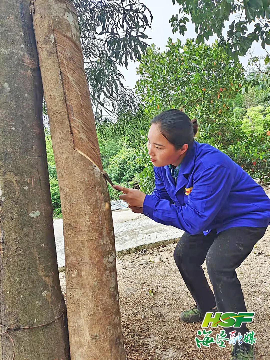 新澳门六合彩官网