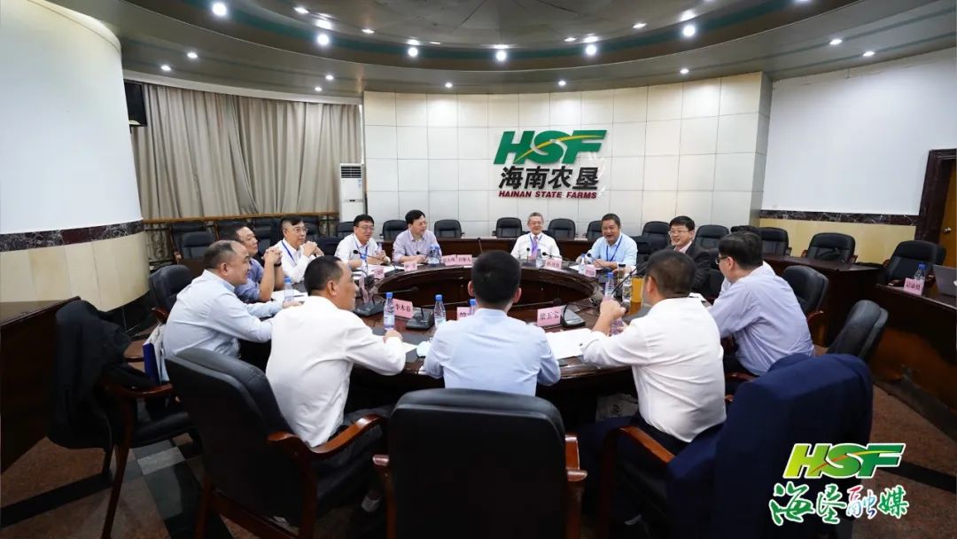 新澳门六合彩官网