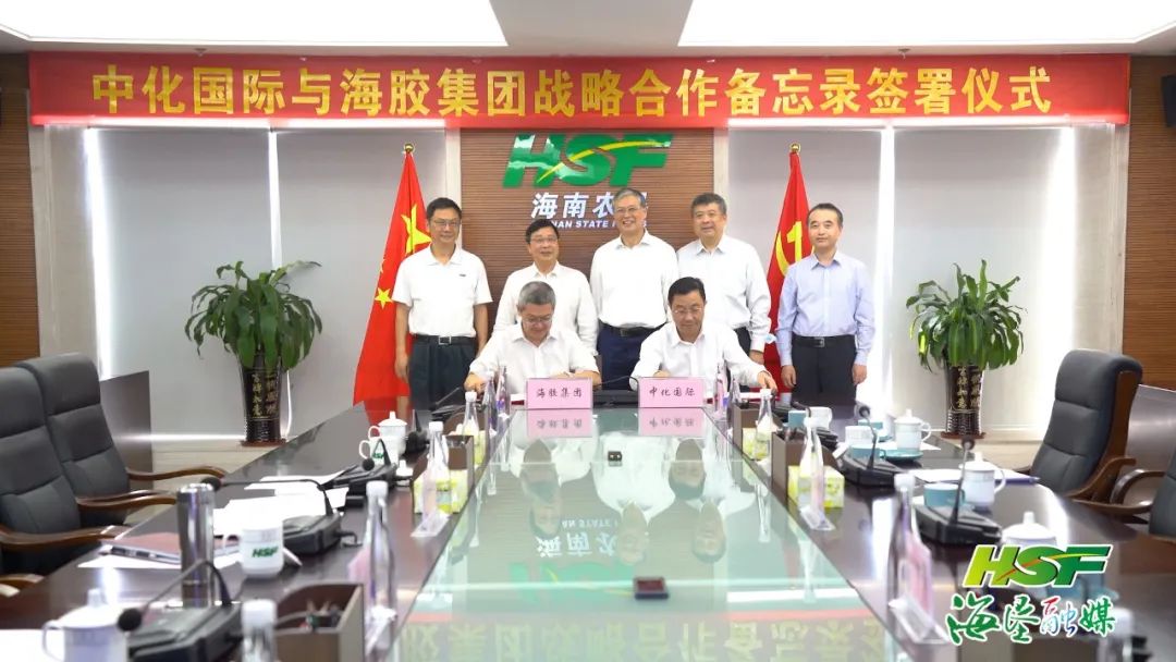 新澳门六合彩官网