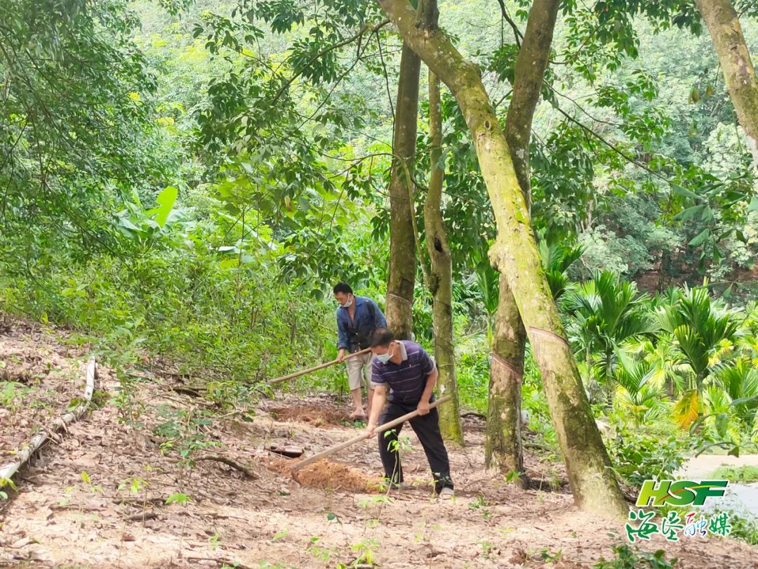 新澳门六合彩官网