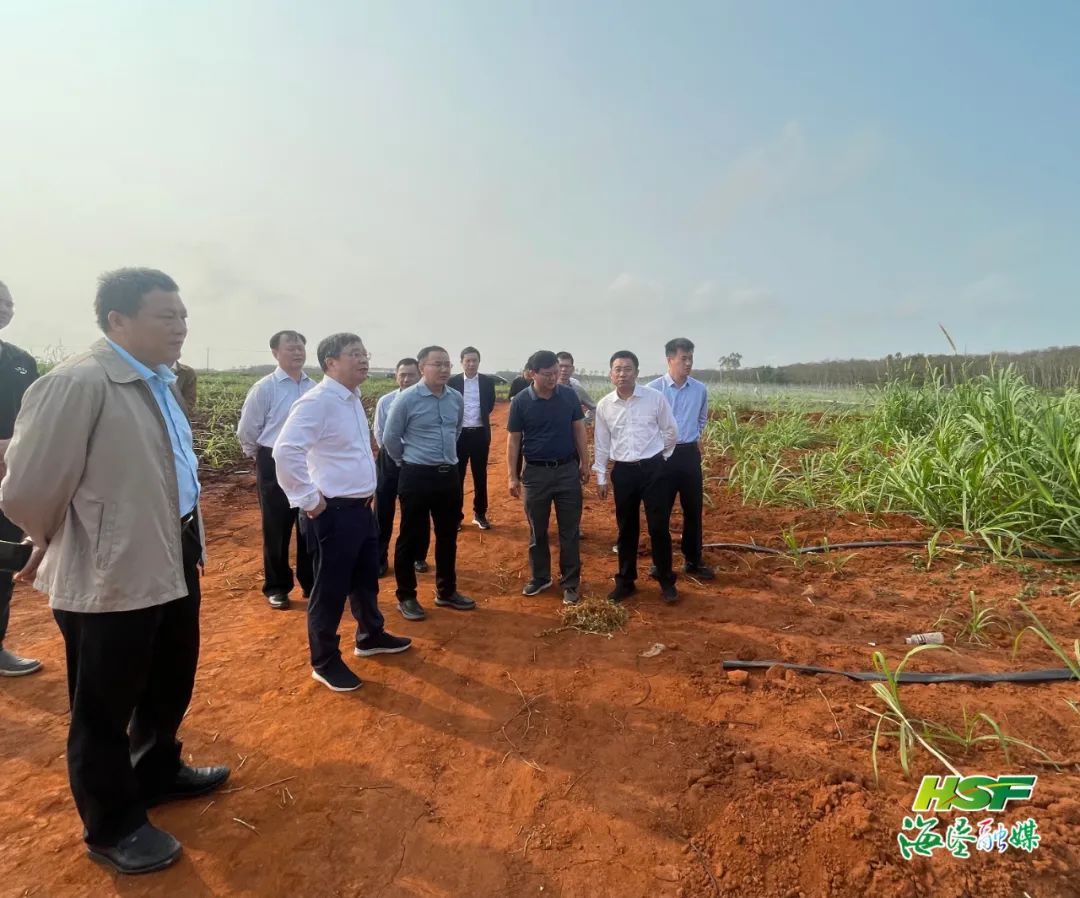 新澳门六合彩官网