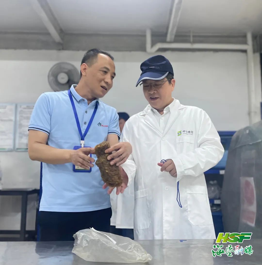 新澳门六合彩官网