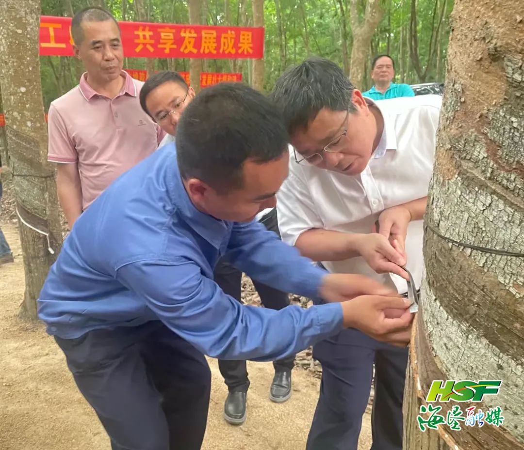 新澳门六合彩官网