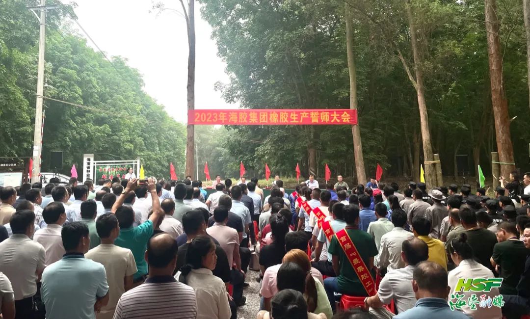 新澳门六合彩官网