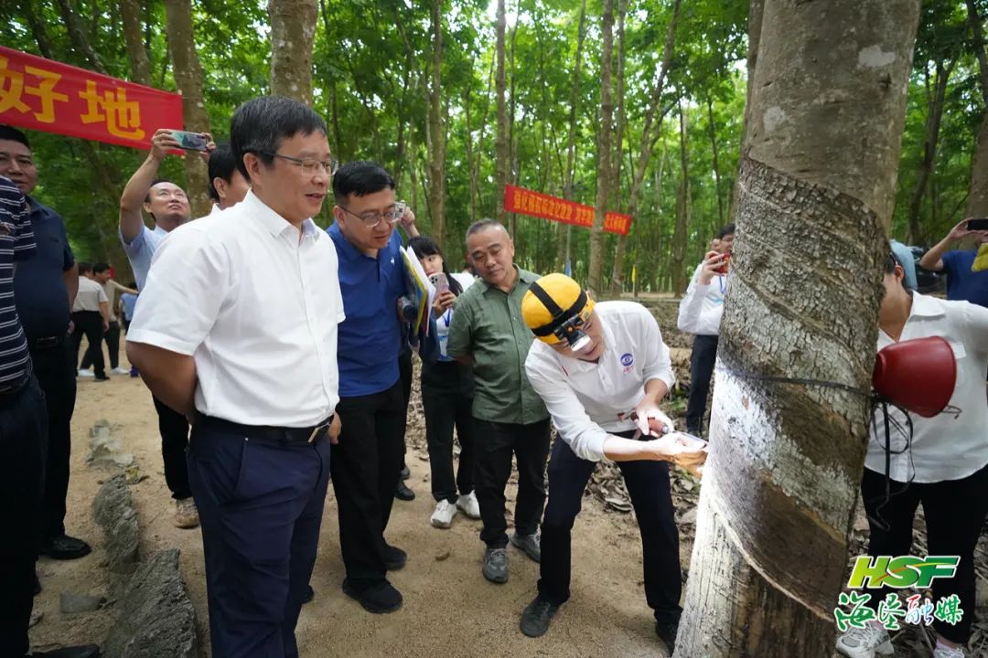 新澳门六合彩官网