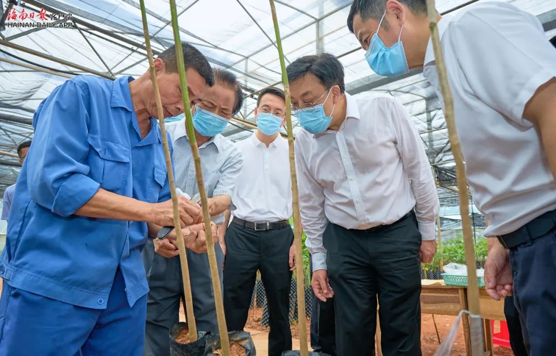 新澳门六合彩官网