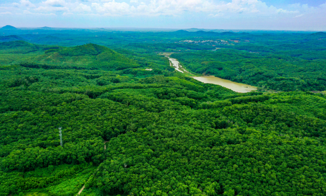 新澳门六合彩官网