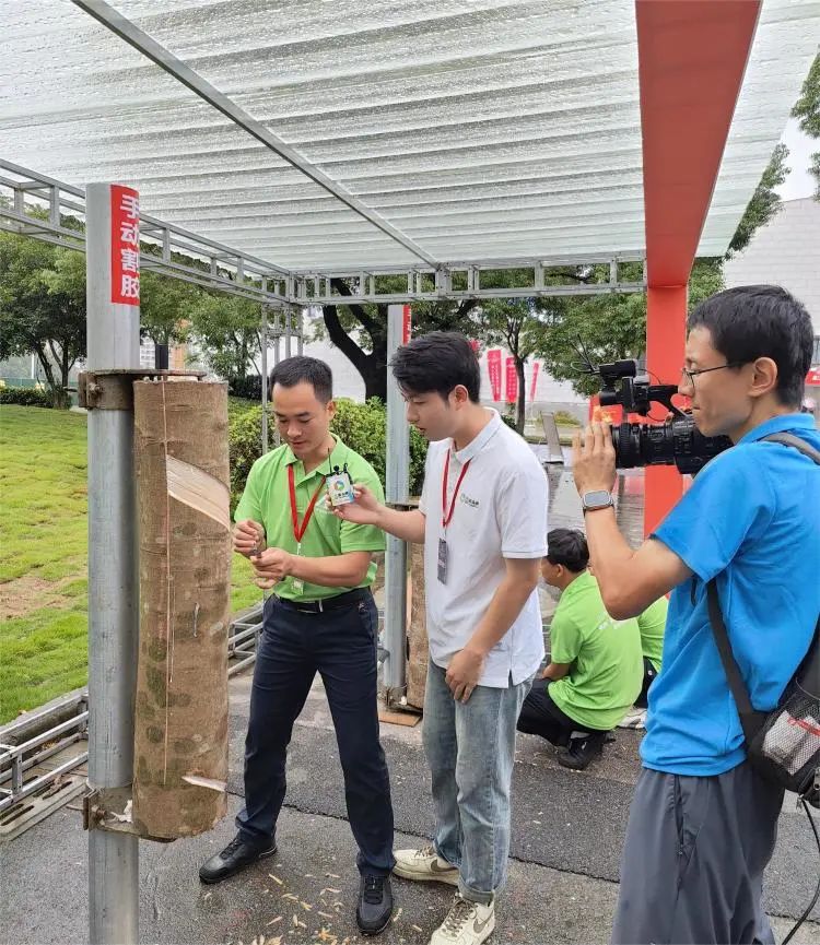 新澳门六合彩官网