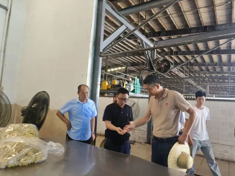 新澳门六合彩官网