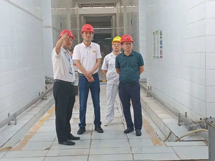 新澳门六合彩官网