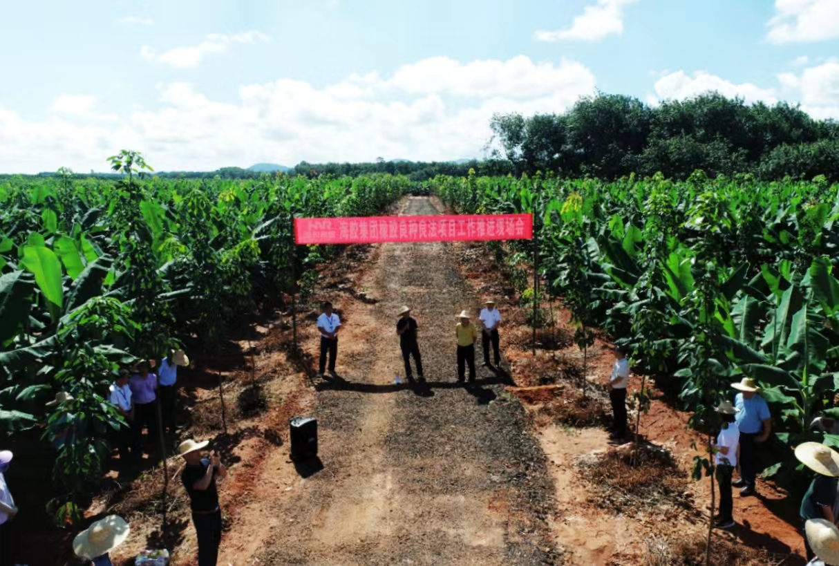 新澳门六合彩官网