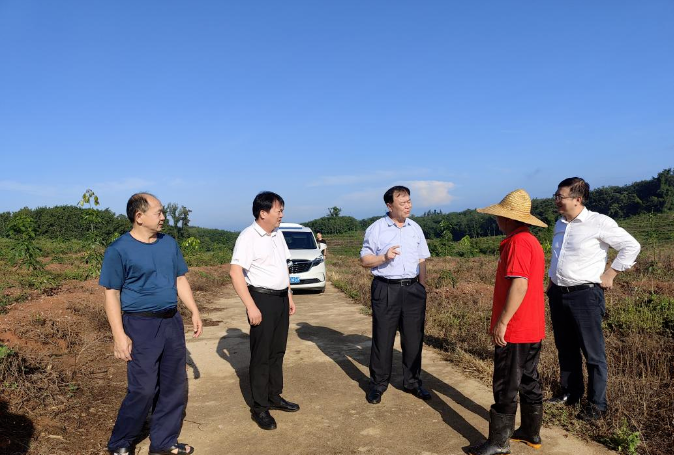 新澳门六合彩官网