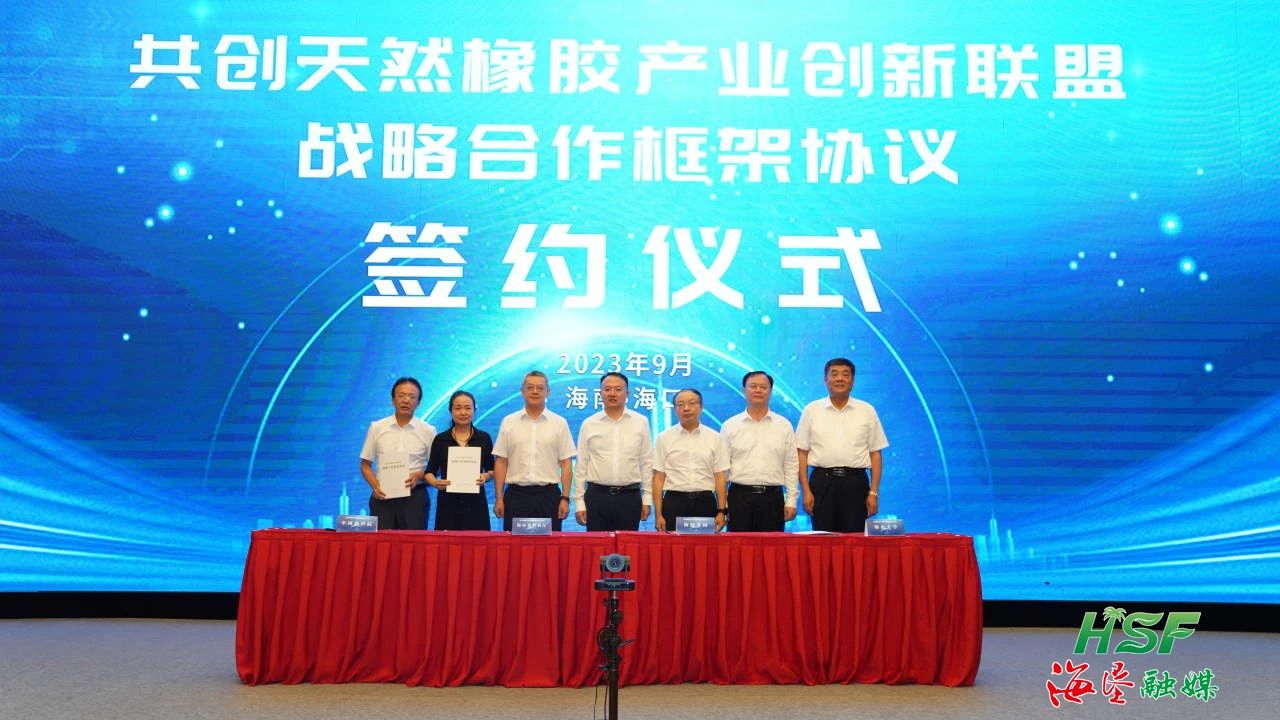 新澳门六合彩官网