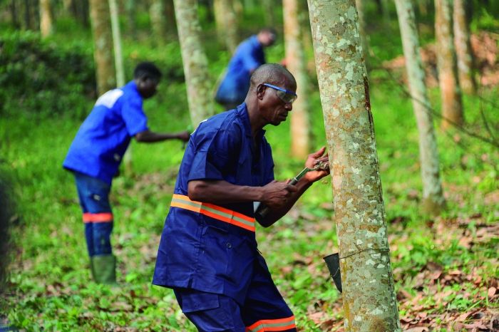 新澳门六合彩官网