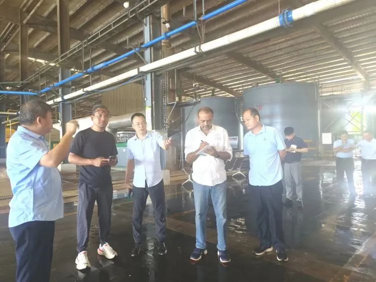 新澳门六合彩官网