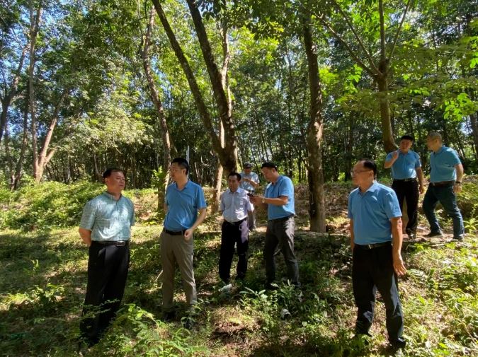 新澳门六合彩官网