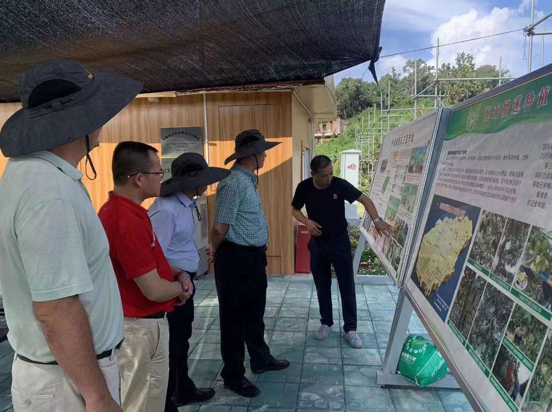 新澳门六合彩官网